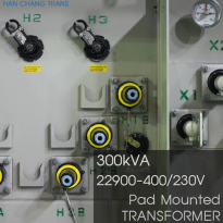 TRANS 300kVA Pad Mounted TRANSFORMER